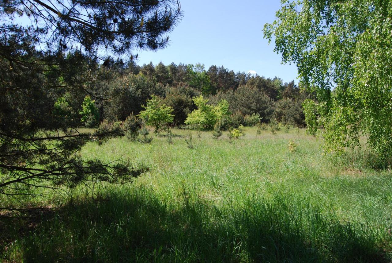 Szydlowiec Anastazewo Екстериор снимка