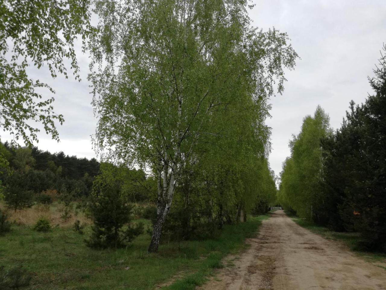 Szydlowiec Anastazewo Екстериор снимка